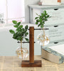 Terrarium Hydroponic Plant Vases Vintage Flower Pot Transparent Vase Wooden Frame Glass Tabletop Plants Home Bonsai Decor