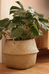 Seaweed Wicker Basket Rattan Hanging Flowerpot Flowerpot Dirty Clothes Dirty Clothes Basket Storage Basket   WF1015