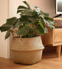 Seaweed Wicker Basket Rattan Hanging Flowerpot Flowerpot Dirty Clothes Dirty Clothes Basket Storage Basket   WF1015