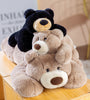 INS Lula Xiong Teddy Bear Helper Water Pills Pillow Cushion Doll Baby Doll Poll Hold Bear